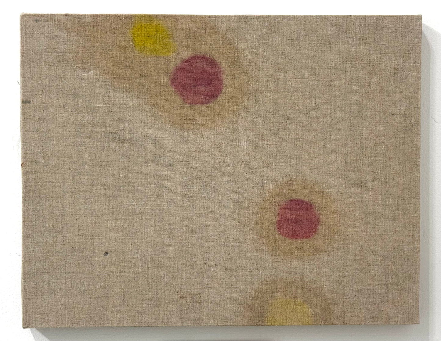 Barbara Laube - Pulse