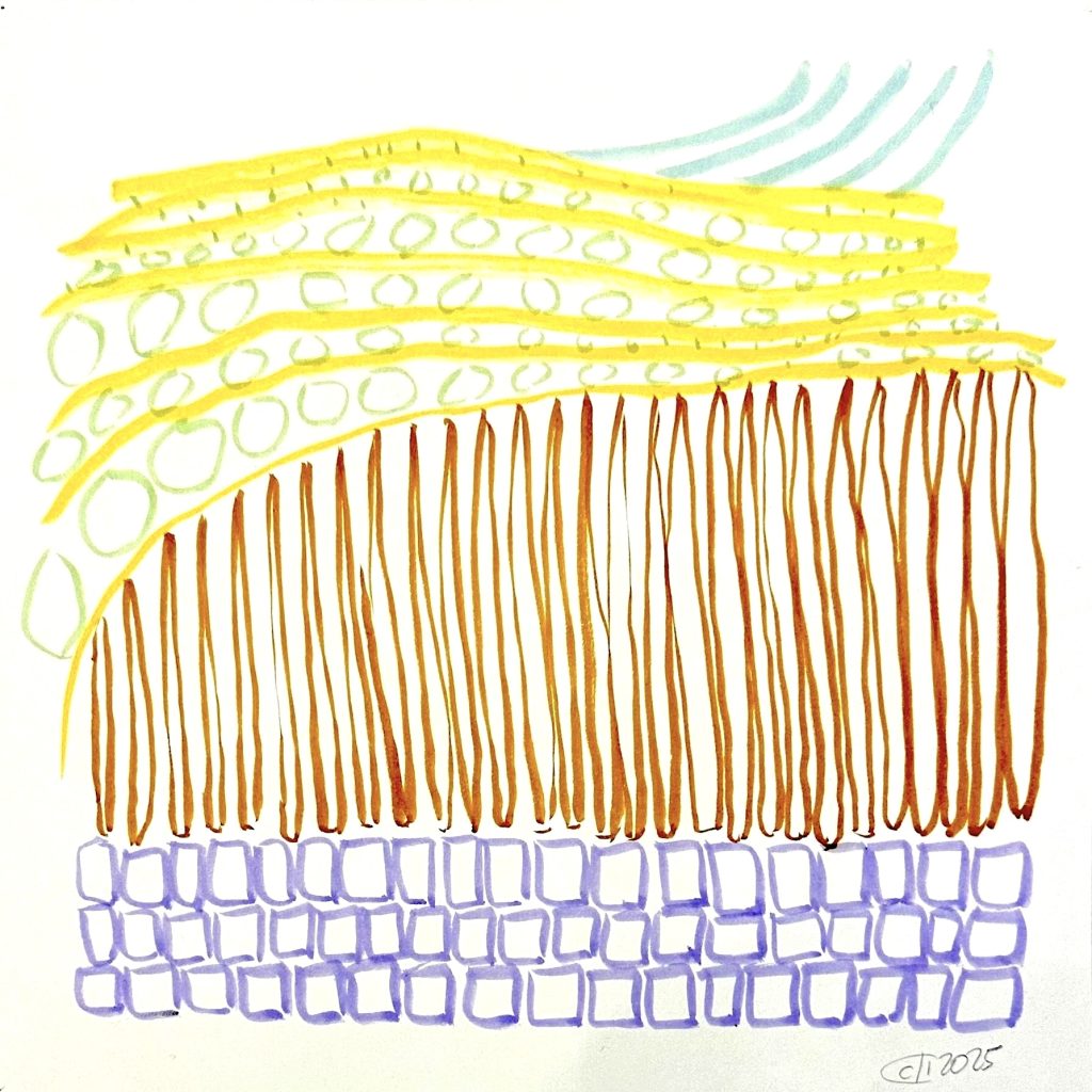 Wavey by Carole D'inverno