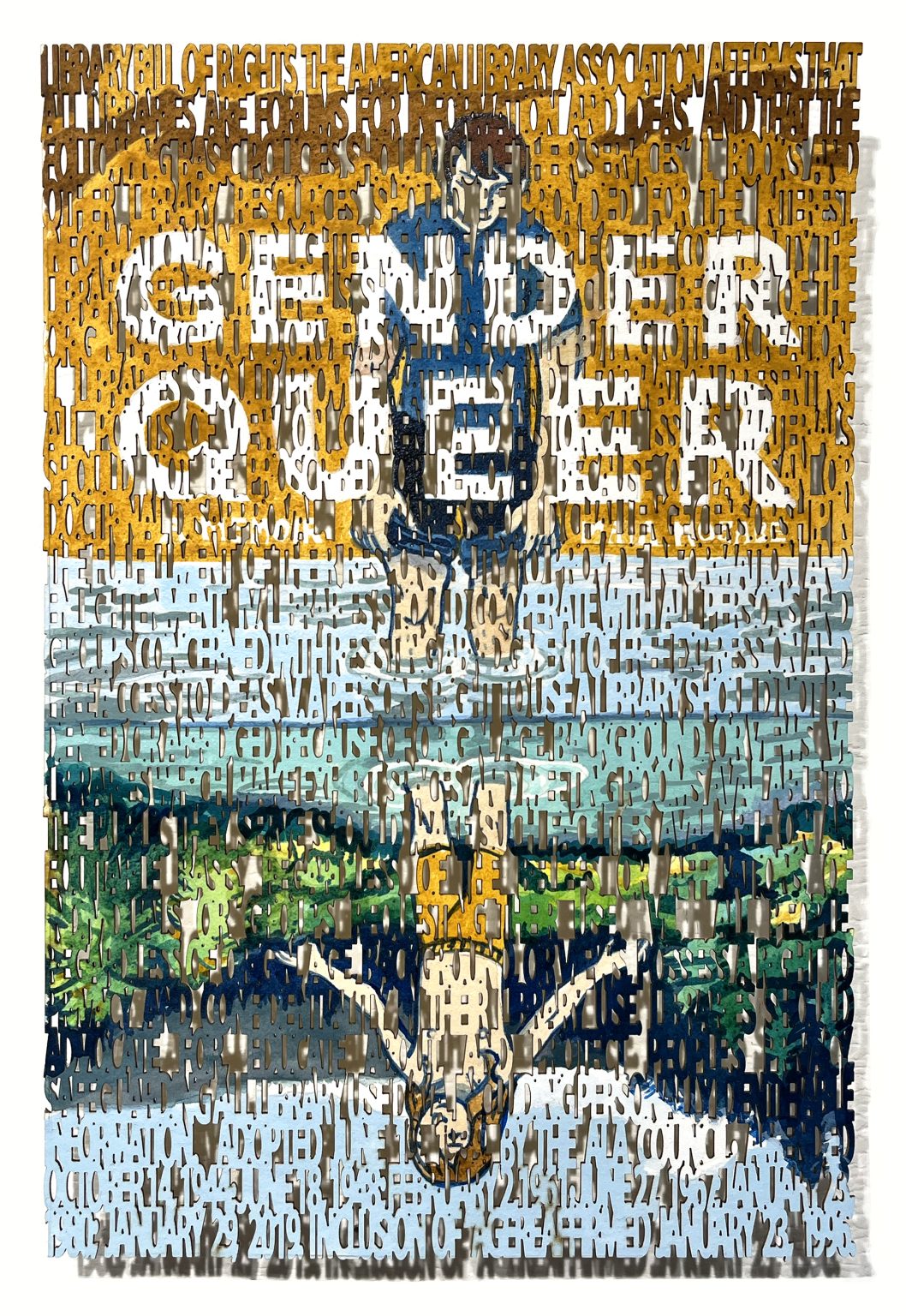 Diana Schmertz - American Library Association Bill of Rights / Gender Queer
