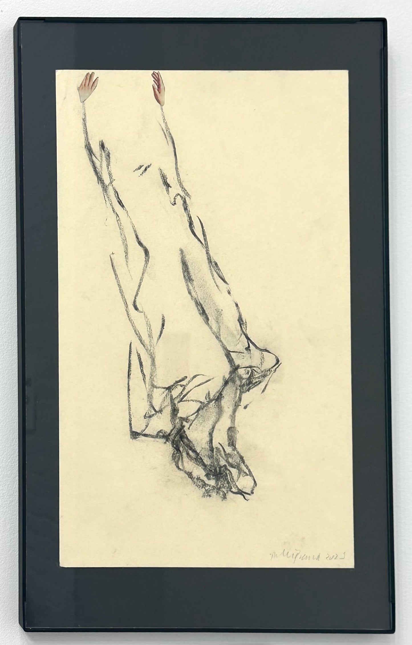 Debra Pearlman - Free fall