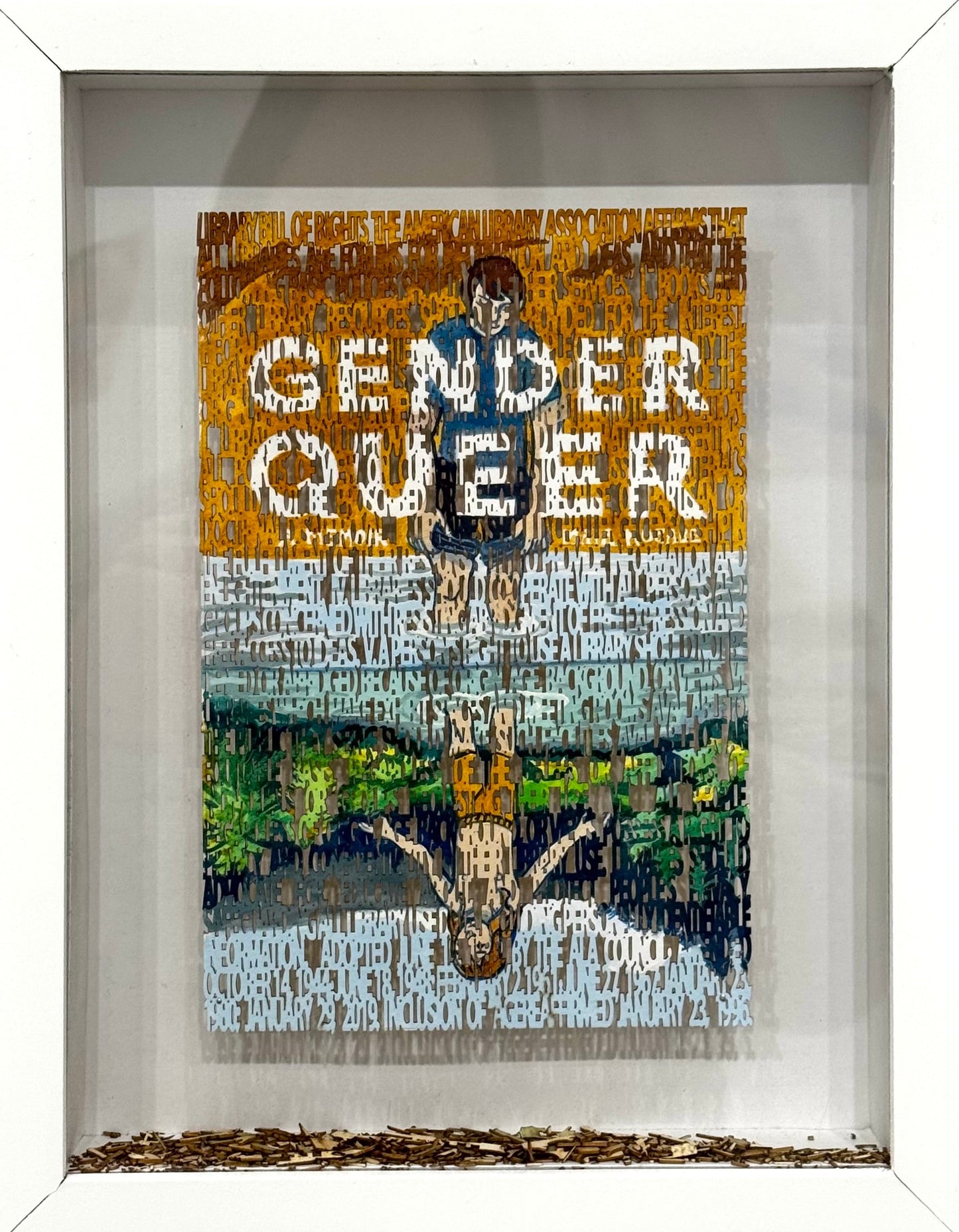 Diana Schmertz - American Library Association Bill of Rights / Gender Queer