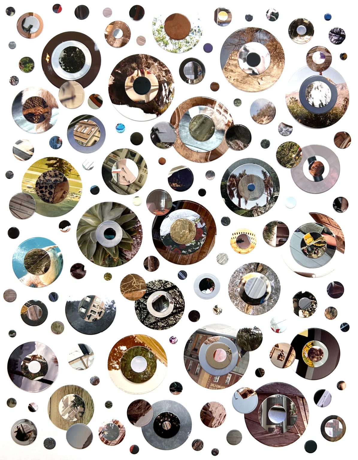 Heather Cox - Homeostasis