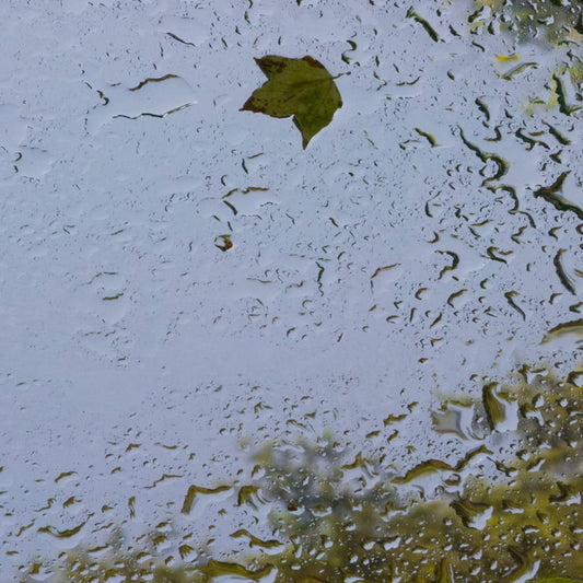 June Rain C by Diane Burko