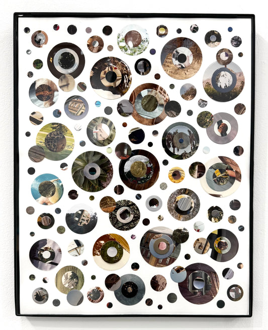 Heather Cox - Homeostasis