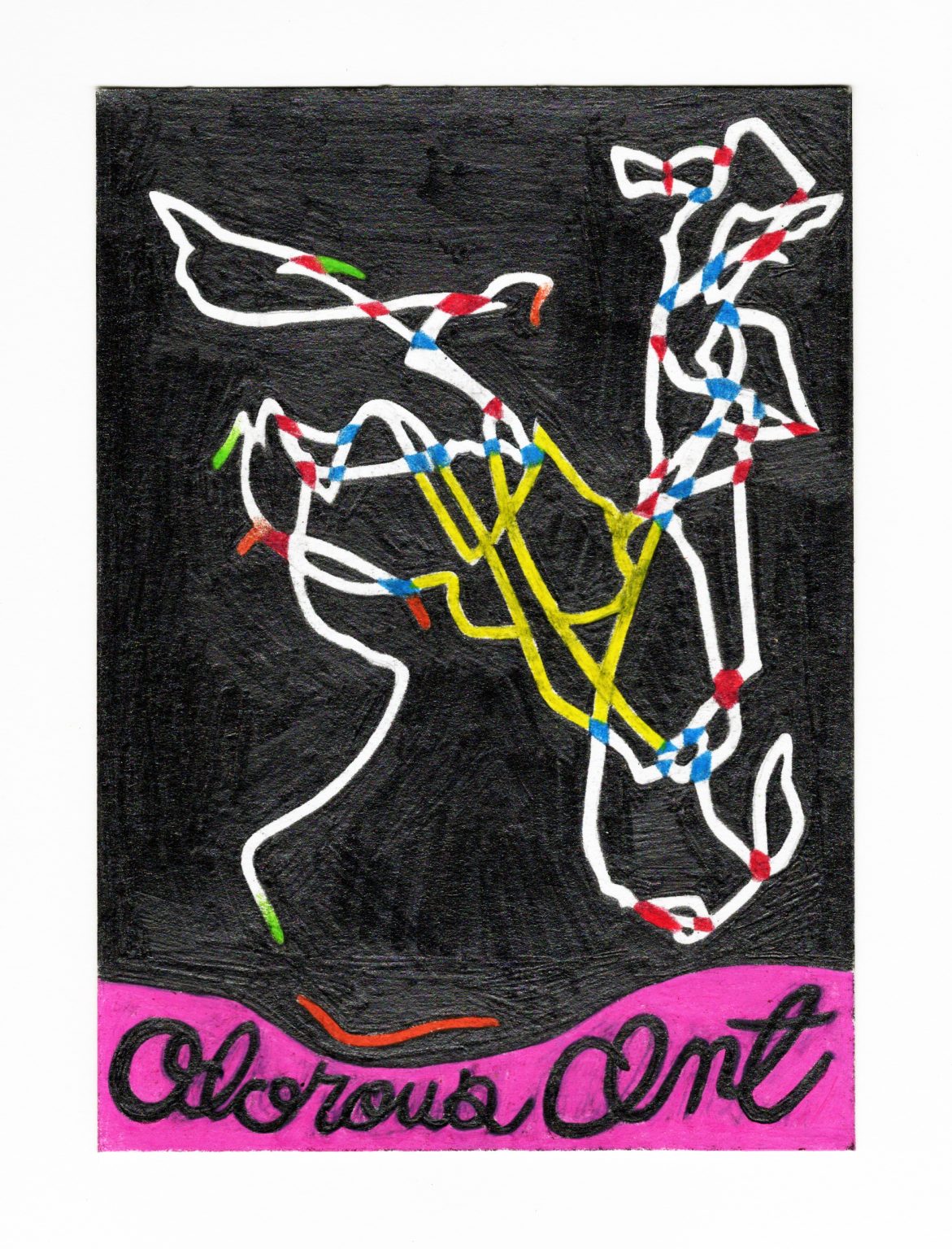 Levy walk by John O'connor