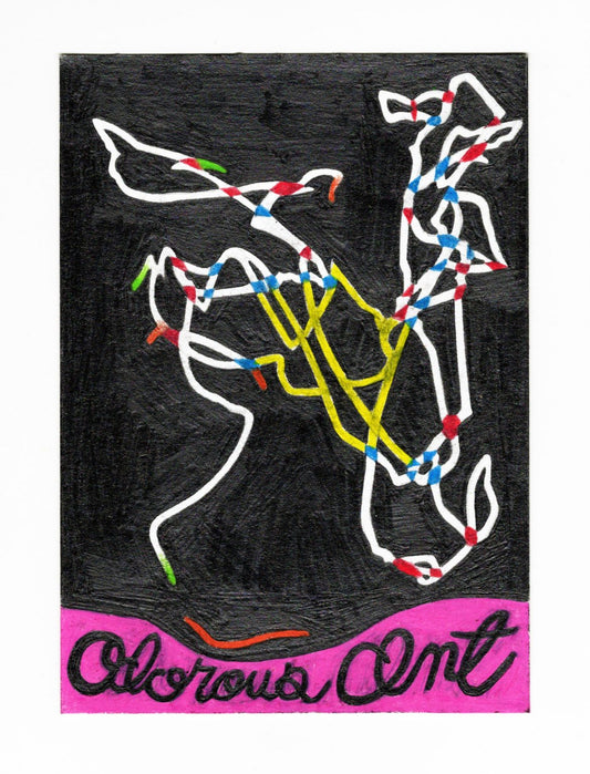 Levy walk by John O'connor