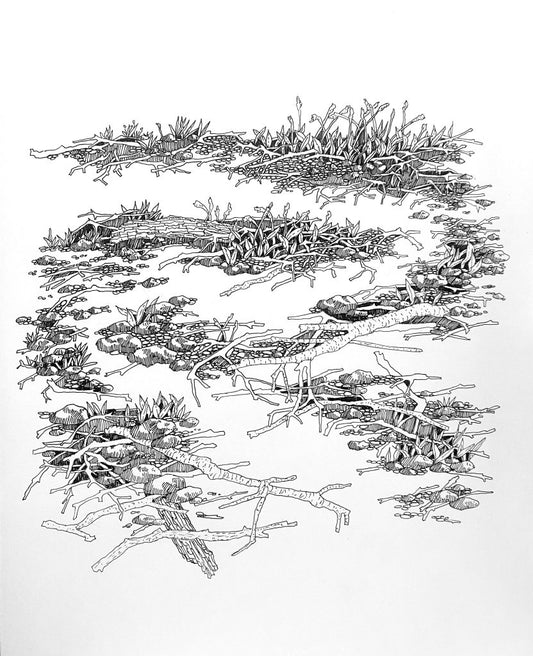 "Running Stream" by Kathleen Vance