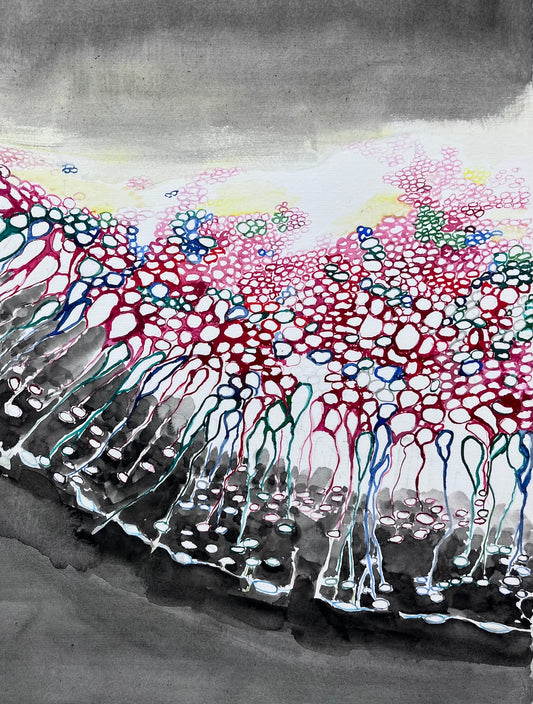 Seeing Color by Michal Gavish