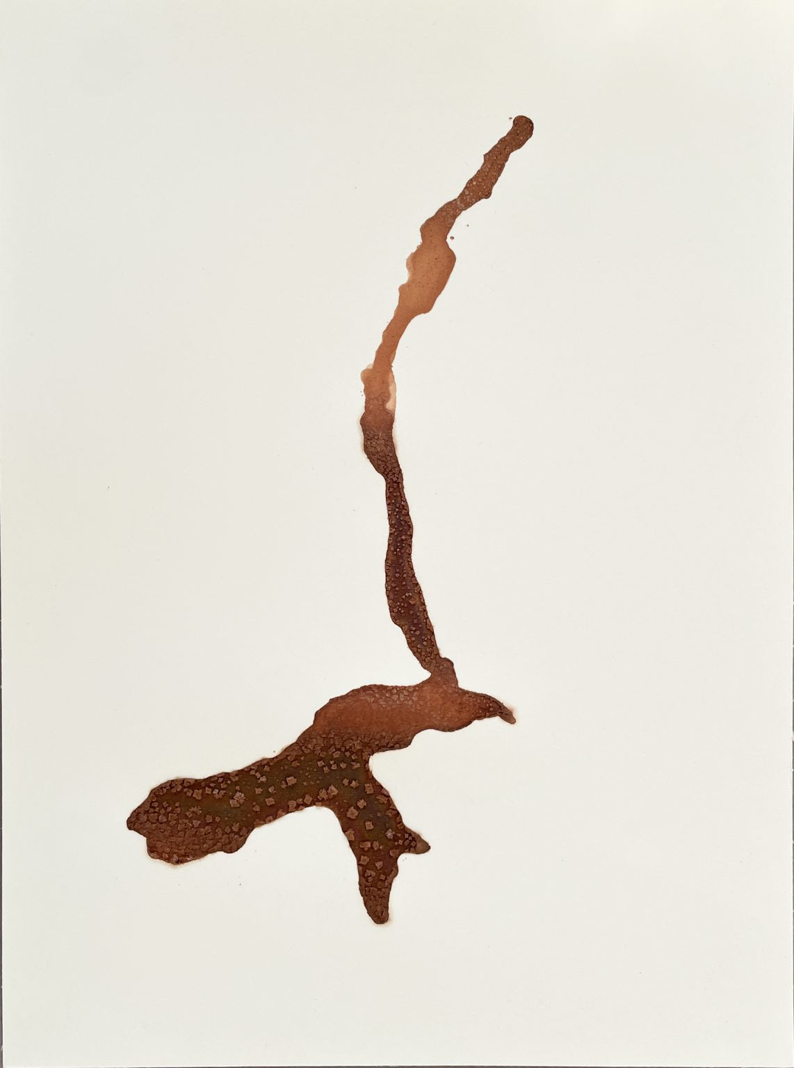 El Capitan by Natalie Moore